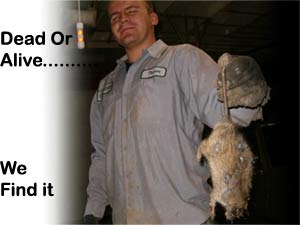 trevor and dead animal