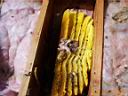 140.jpg